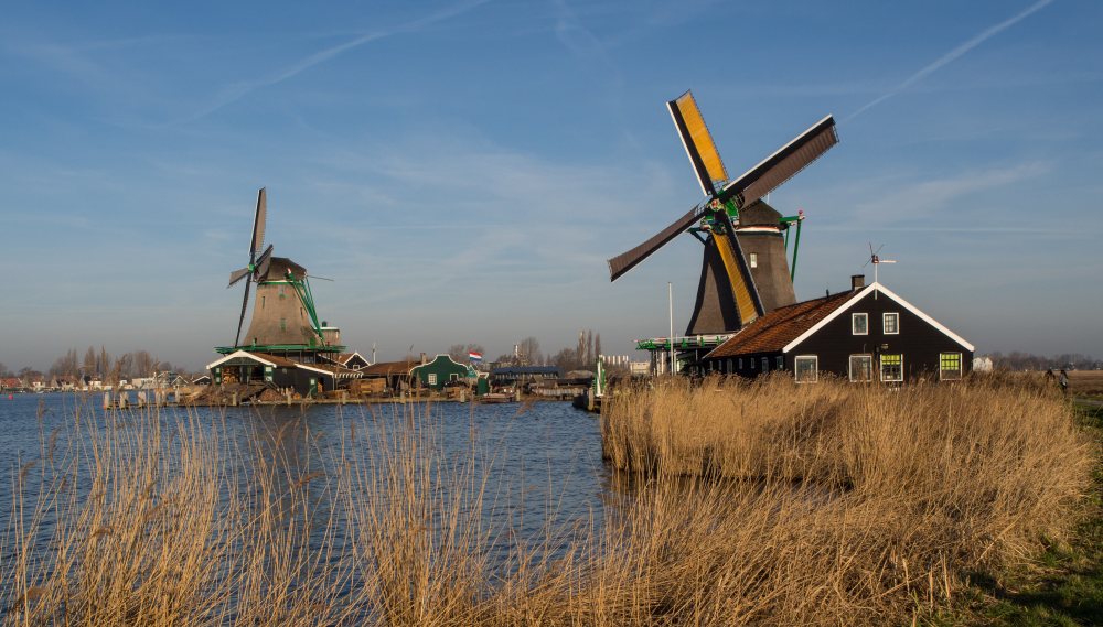 2005